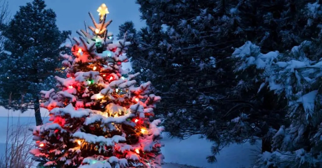 Hoggard Christmas Wonderland of Lights