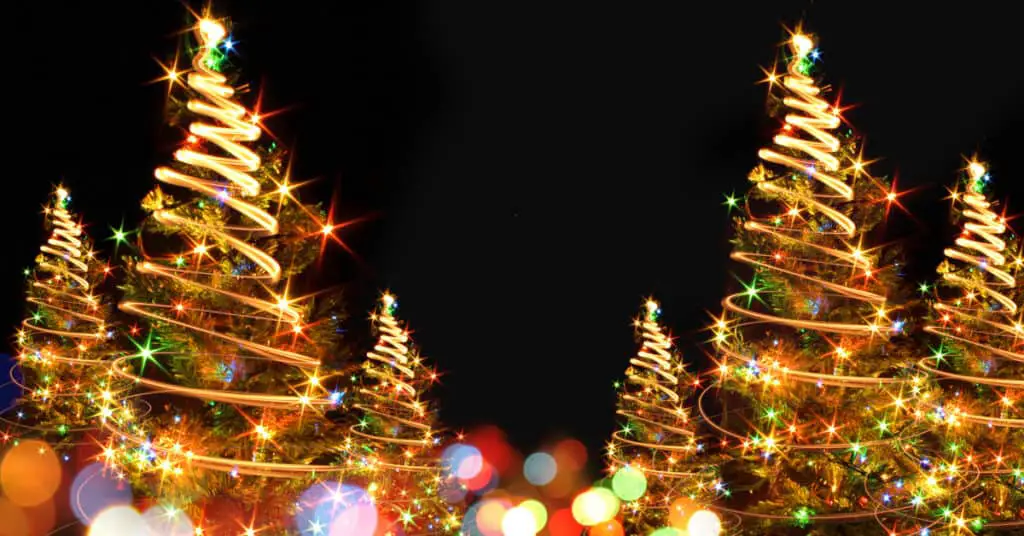 Christmas Lights on the Farm Middlesex NC