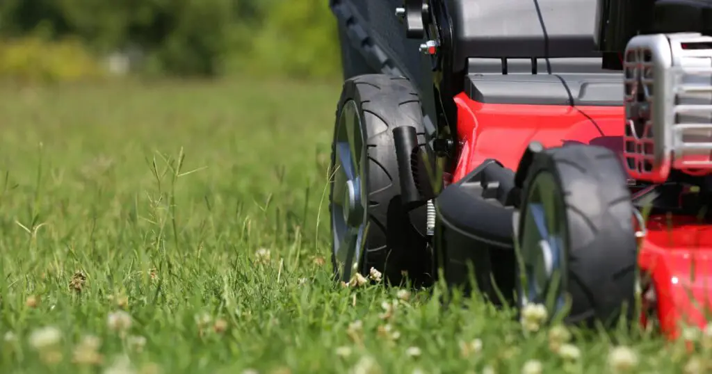 Green Dreams: Exploring the Variety of Rocky Mount Lawn Care Services
